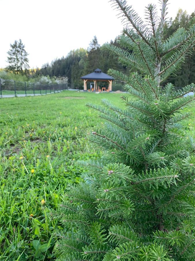 Dobre Miejsce Villa Niedzica ภายนอก รูปภาพ