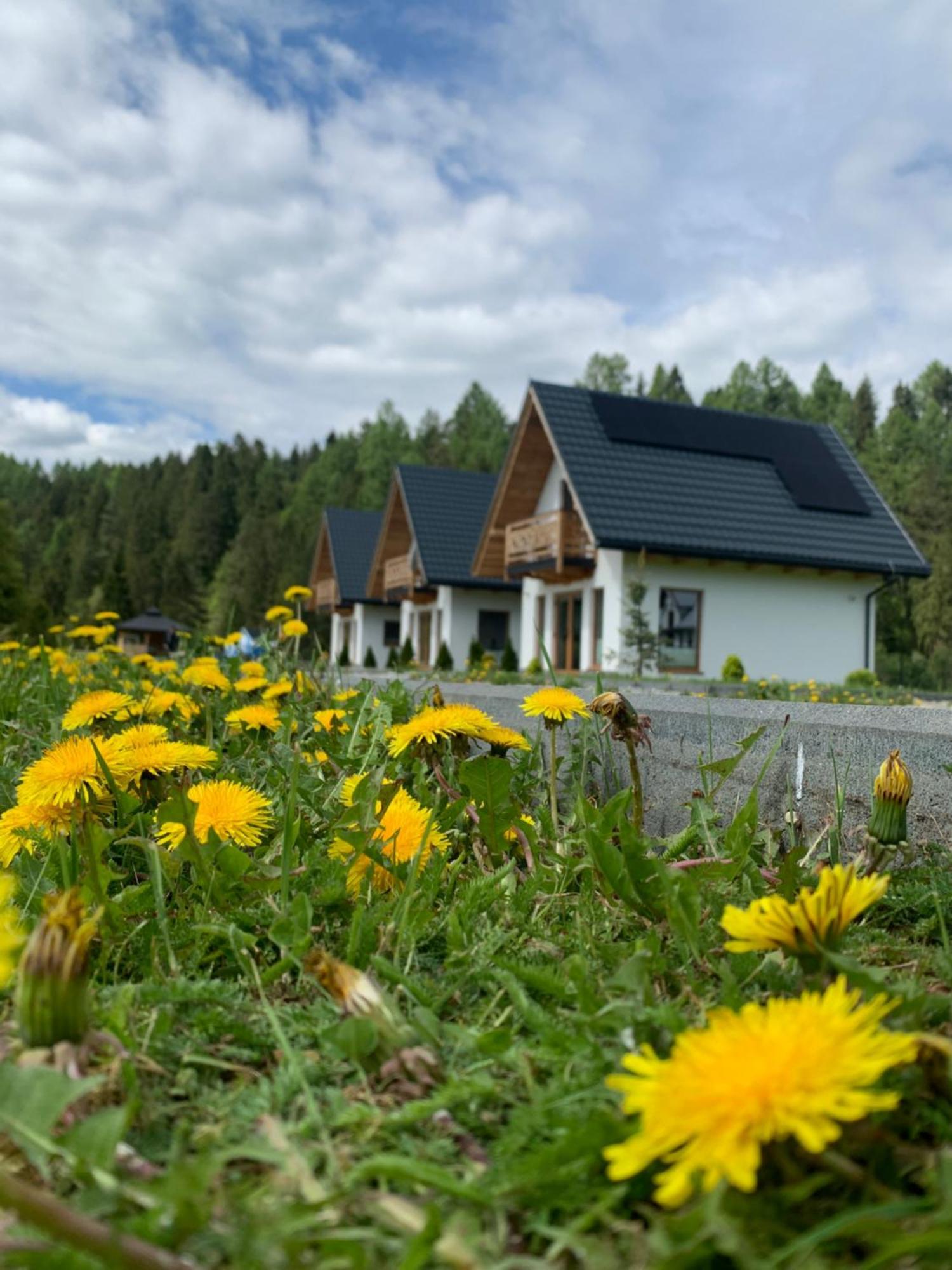 Dobre Miejsce Villa Niedzica ภายนอก รูปภาพ