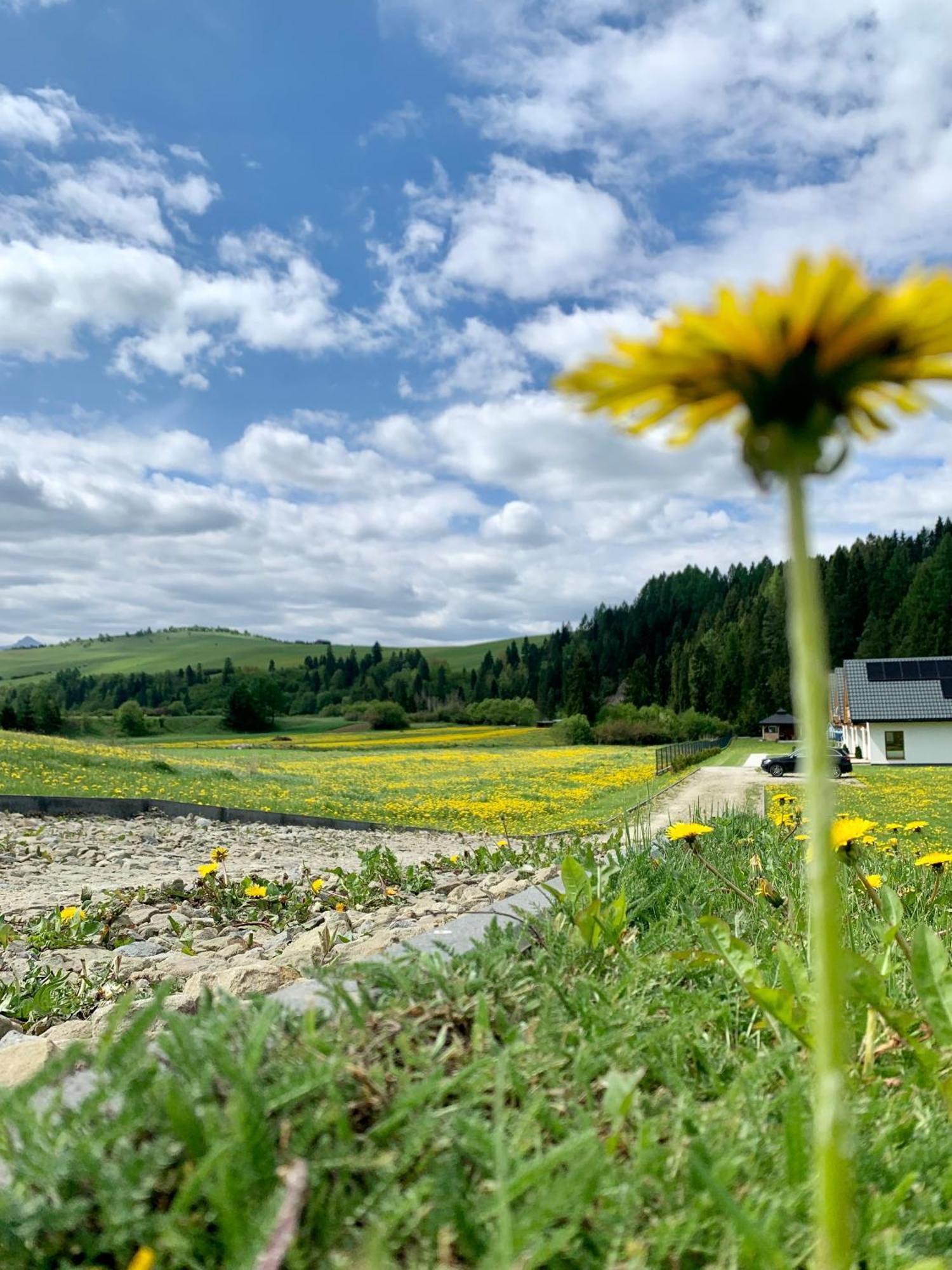 Dobre Miejsce Villa Niedzica ภายนอก รูปภาพ